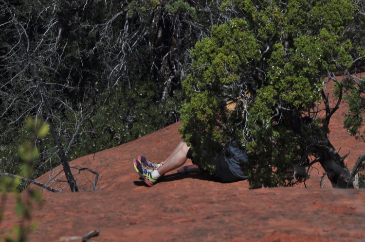 sedona, julie's legs sticking out of tree